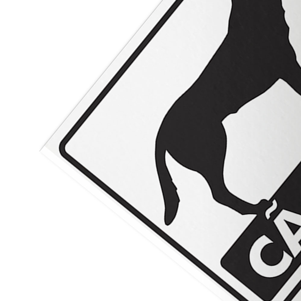 Foto 3 de Placa sinalizadora 20x30cm cuidado cão bravo encartale