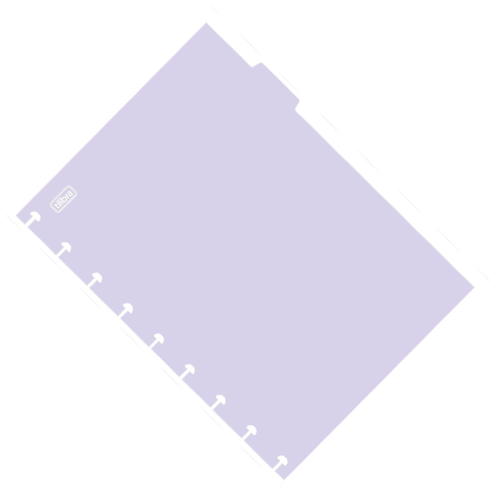 Foto 2 de Divisórias tilidisco universitário c/ 6und pastel tilibra