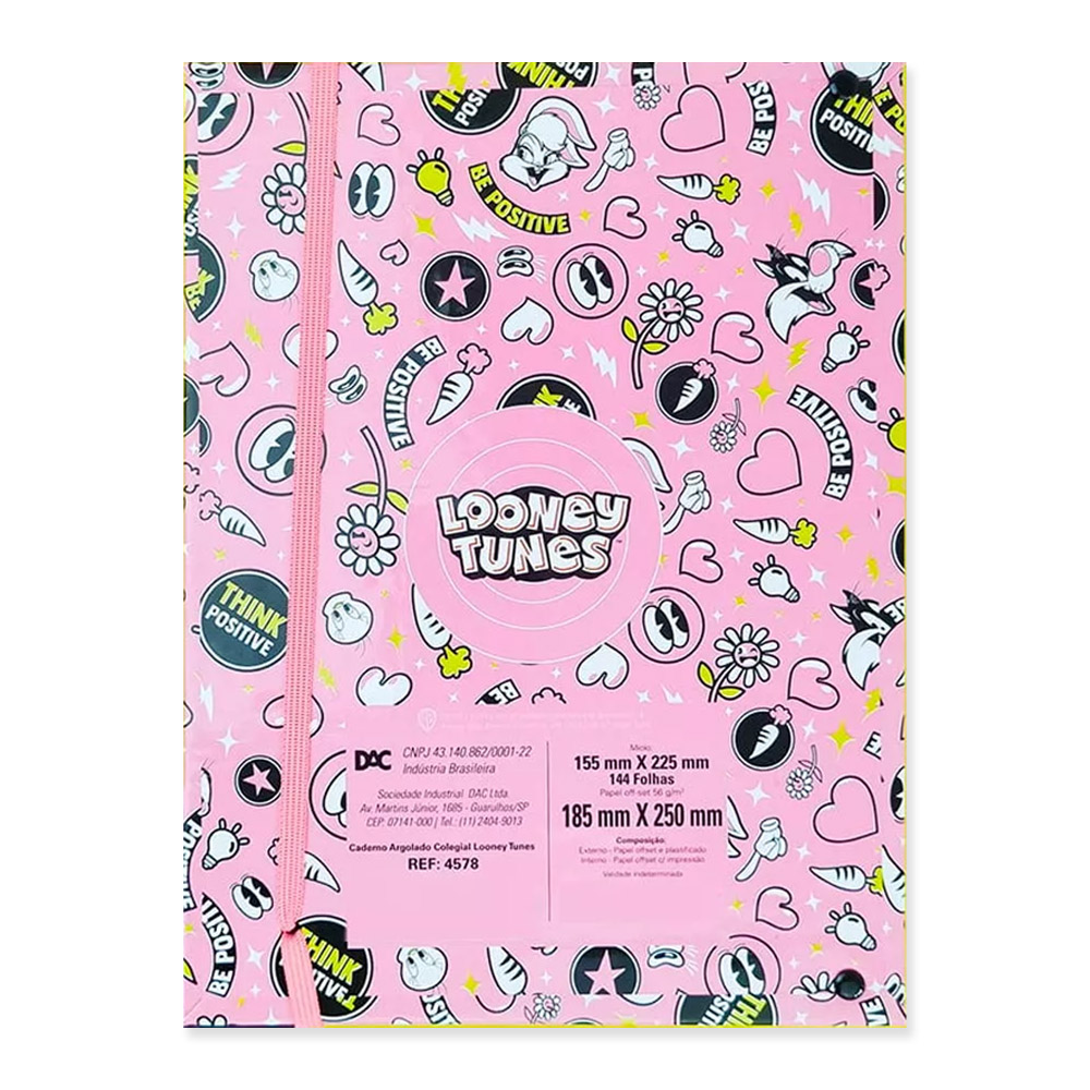 Foto 3 de Fichário colegial looney tunes argolado 144 folhas dac