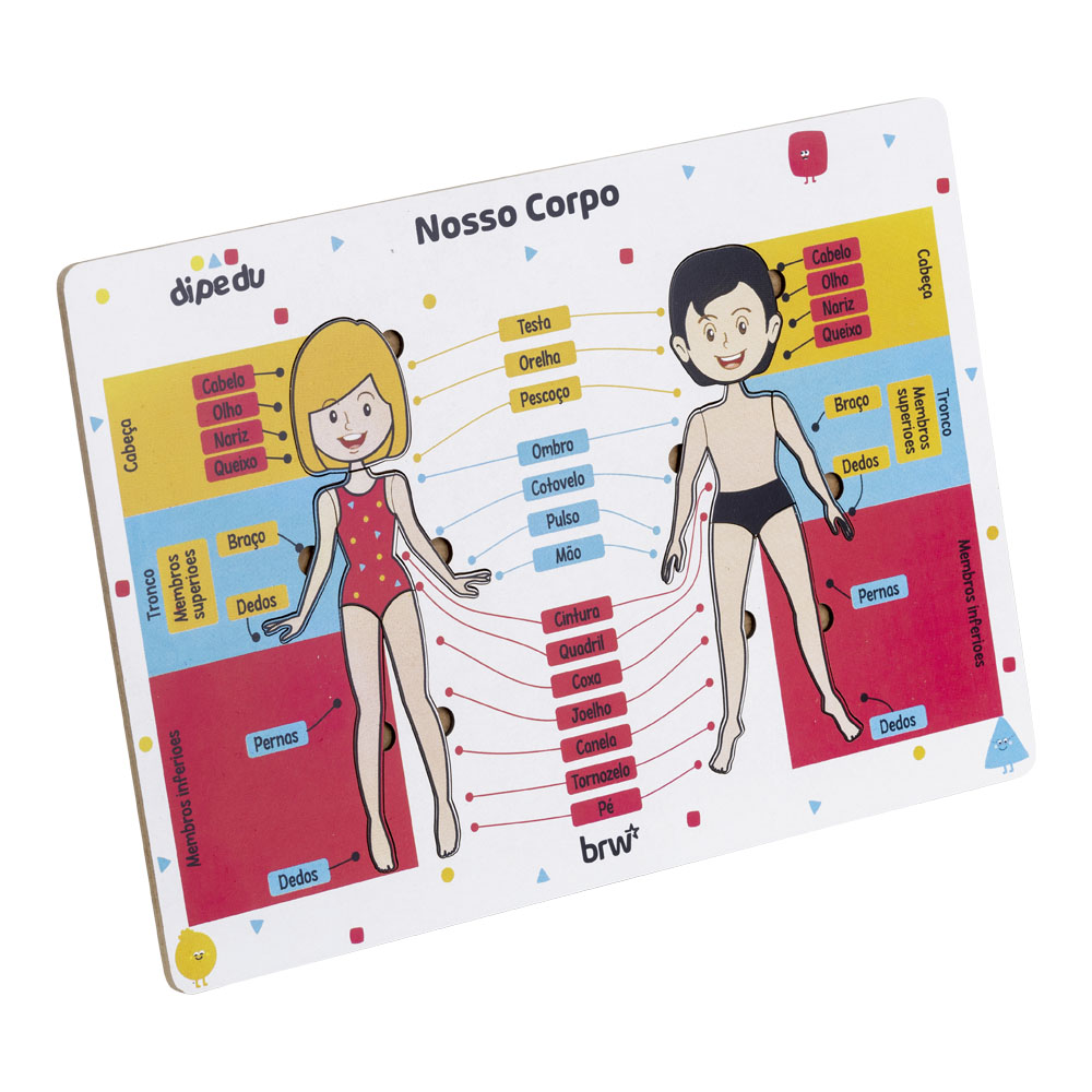 Foto 2 de Jogo didático nosso corpo c/ 12 peças dipedu brw