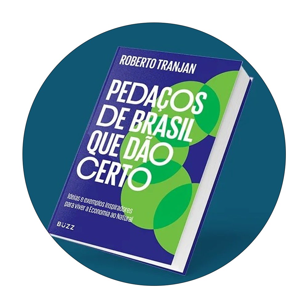 Foto 2 de Pedaços de brasil que dão certo ideias e exemplos