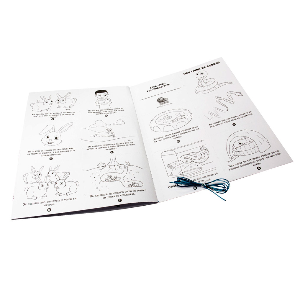 Foto 2 de Crianças criam livros! animais de estimação