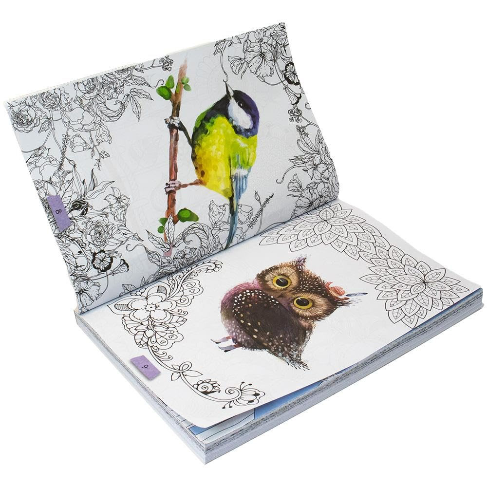 Foto 2 de 365 jardim encantado para colorir